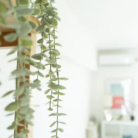 Smart Apartment *